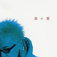 ハシケン「 赤い実」