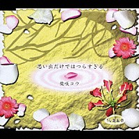 柴咲コウ「 思い出だけではつらすぎる」