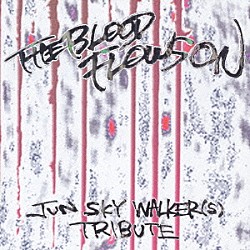 （オムニバス） ＢＯＺＯ アカツキ． ゼリ→ キッチンゴリラ 東京ピンサロックス ３０％ＬＥＳＳ　ＦＡＴ Ｔｈｅ　ＳＡＮＹＯＮＳ「ザ・ブラッド・フロウズ・オン★ジュン　スカイ　ウォーカーズ　トリビュート」