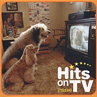 （オムニバス）「 ヒッツ・オンＴＶ　２００４」