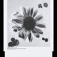 ＡＩＲ「 ｂｉｃｙｃｌｉｓｔ」