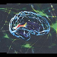 ＰＩＥＲＲＯＴ「 脳内モルヒネ」