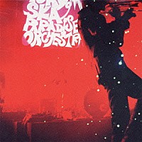 東京スカパラダイスオーケストラ「 ＯＮ　ＴＯＵＲ」