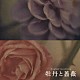 （オリジナル・サウンドトラック） 中川幸太郎「牡丹と薔薇　オリジナル・サウンドトラック」