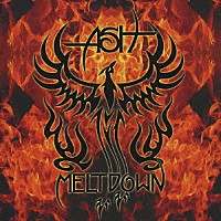 アッシュ「 メルトダウン」