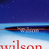 ブライアン・ウィルソン「 イマジネーション」