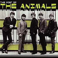 ジ・アニマルズ「 モスト・オブ・アニマルズ」