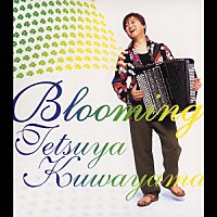 桑山哲也「 ブルーミング」