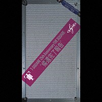 T-SQUARE 25th THE SQUARE 帰還完了報告 DVD 限定品 THE SQUARE「帰還完了報告」 | VRBL-7011 | 4542696001382