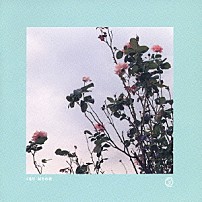 くるり 「ばらの花」