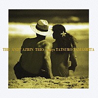 ジ・アンディ・エズリン・トリオ「 さよなら夏の日　山下達郎作品集」