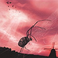 ＰＩＥＲＲＯＴ「 ＭＹＣＬＯＵＤ」