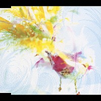 広瀬香美「 日付変更線」