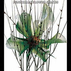 ＰＥＮＩＣＩＬＬＩＮ「ＦＬＯＷＥＲ　ＣＩＲＣＵＳ」