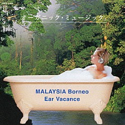 小久保隆「イヤー・バカンス　マレーシア＜ボルネオ＞の森」