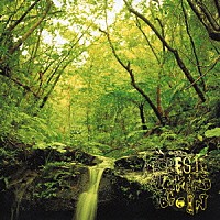 ＢＥＧＩＮ「 フォレスト　グリーン」