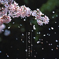 ケツメイシ「 さくら」