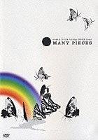 Ｅｖｅｒｙ　Ｌｉｔｔｌｅ　Ｔｈｉｎｇ「 ｅｖｅｒｙ　ｌｉｔｔｌｅ　ｔｈｉｎｇ：２００３ｔｏｕｒ　ＭＡＮＹ　ＰＩＥＣＥＳ」