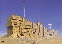 電気グルーヴ「 ニセンヨンサマー　～ＬＩＶＥ　＆　ＣＬＩＰＳ～」