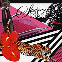 （オムニバス） セバスチャン・レジェ サウスサイド・コネクション イリニ エスピリト アフリカニズム　ｂｙ　リキッド・ピープル タニア・マリア アフリカニズム・バイ・ドクター・クチョー！「Ｓｈａｋｅｄ　ＳＯＵＬ　ＳＯＵＲＣＥ」