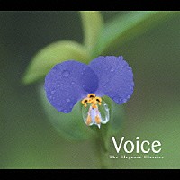 （クラシック）「 ヴォイスＢＥＳＴ」