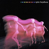 スピッツ「 ハヤブサ」