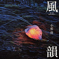 小椋佳「 風韻　～提供楽曲セルフカヴァー集～」