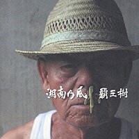 湘南乃風「 覇王樹」