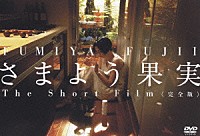 藤井フミヤ「 さまよう果実　Ｔｈｅ　Ｓｈｏｒｔ　Ｆｉｌｍ　＜完全版＞」