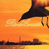 Ｄｒａｇｏｎ　Ａｓｈ「 Ｒｉｏ　ｄｅ　Ｅｍｏｃｉｏｎ」