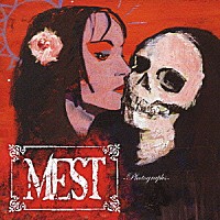 メスト「 フォトグラフス」