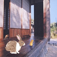 音速ライン「 風景描写」