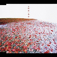 小椋佳「 再会」