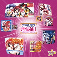 （アニメーション）「 アキハバラ電脳組」