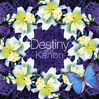 カノン「 Ｄｅｓｔｉｎｙ」
