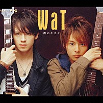 ＷａＴ 「僕のキモチ」