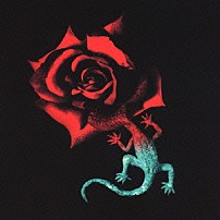 ポルノグラフィティ 「ジョバイロ／ＤＯＮ’Ｔ　ＣＡＬＬ　ＭＥ　ＣＲＡＺＹ」