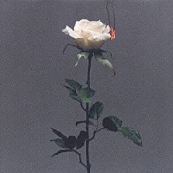 Ｂｉｖａｔｔｃｈｅｅ「プラスチックモーニング」