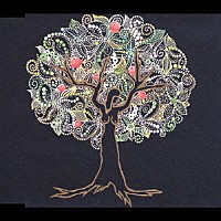 ナナムジカ「 くるりくるり」