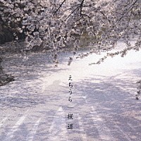 えちうら「 桜道」