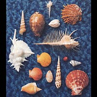 スピッツ「 ＣＹＣＬＥ　ＨＩＴ　１９９１－１９９７　Ｓｐｉｔｚ　Ｃｏｍｐｌｅｔｅ　Ｓｉｎｇｌｅ　Ｃｏｌｌｅｃｔｉｏｎ」