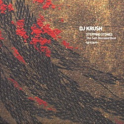 ＤＪ　ＫＲＵＳＨ「ＳＴＥＰＰＩＮＧ　ＳＴＯＮＥＳ　Ｔｈｅ　Ｓｅｌｆ－Ｒｅｍｉｘｅｄ　Ｂｅｓｔ　－ｌｙｒｉｃｉｓｍ－」