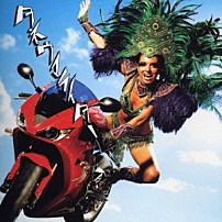 ポルノグラフィティ 「ハネウマライダー」