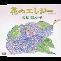 菅原都々子「 花のエレジー　Ｃ／Ｗ　風の花道」