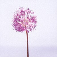 榎本くるみ「 打ち上げ花火」