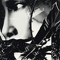 キリト「 ［ＤＥＣＩＤＥ］」