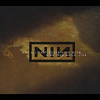 ナイン・インチ・ネイルズ「 ライヴ：アンド・オール・ザット・クッド・ハヴ・ビーン」