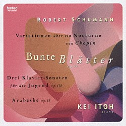 伊藤恵「シューマニアーナ　ＸＩ」