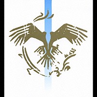 ＲＯＶＯ「 ＣＯＮＤＯＲ」