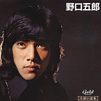 野口五郎 「野口五郎　私鉄沿線　他」